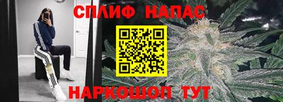 крисы Бузулук