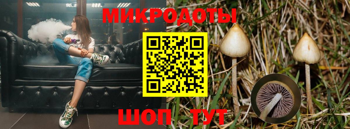 Михайловка  Галлюциногенные грибы мицелий  Галлюциногенные грибы мицелий  Вход с VPN 